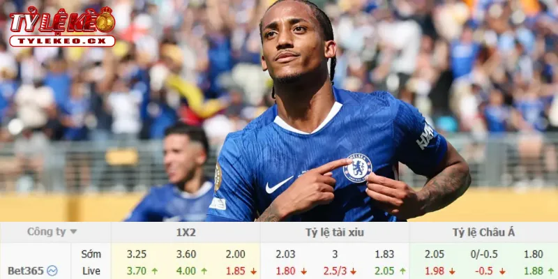 Soi Kèo Fulham vs Chelsea (02h00 ngày 25/08) Premier League 3 Chi tiết kèo Fulham vs Chelsea