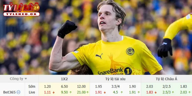 Soi Kèo Bayern Munich vs Bodo Glimt (02h00 ngày 11/09) Champions League 3 Chi tiết kèo Bayern Munich vs Bodo Glimt