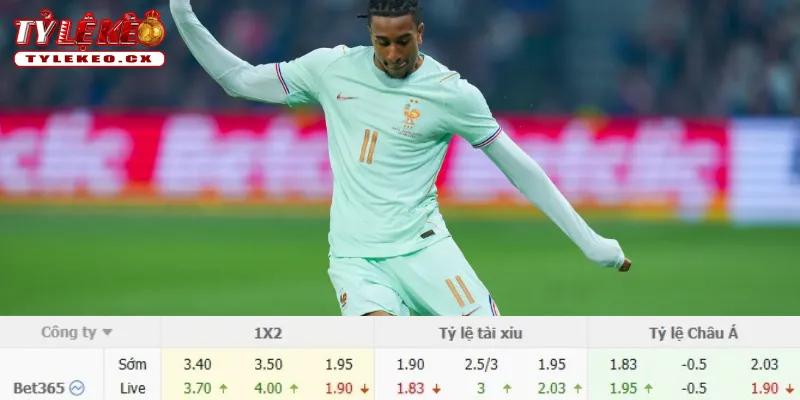 Soi Kèo Bỉ vs Pháp (01h45 ngày 29/09) UEFA Nations League 3 Chi tiết kèo Bỉ vs Pháp