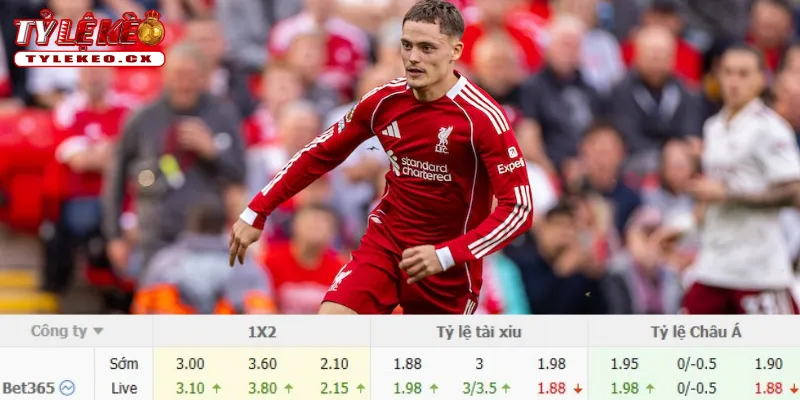Soi Kèo Bournemouth vs Liverpool (20h00 ngày 20/09) Premier League 3 Chi tiết kèo Bournemouth vs Liverpool