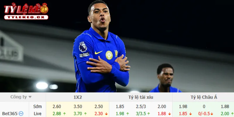 Chi tiết kèo Brentford vs Chelsea