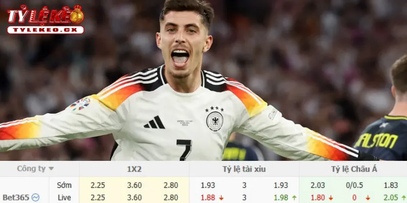 Soi Kèo Hà Lan vs Đức (01h45 ngày 25/09) UEFA Nations League 3 Chi tiết kèo Hà Lan vs Đức