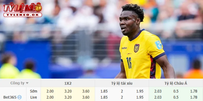 Soi Kèo Nhật Bản vs Ecuador (17h10 ngày 01/10) Giao Hữu 3 Chi tiết kèo Nhật Bản vs Ecuador