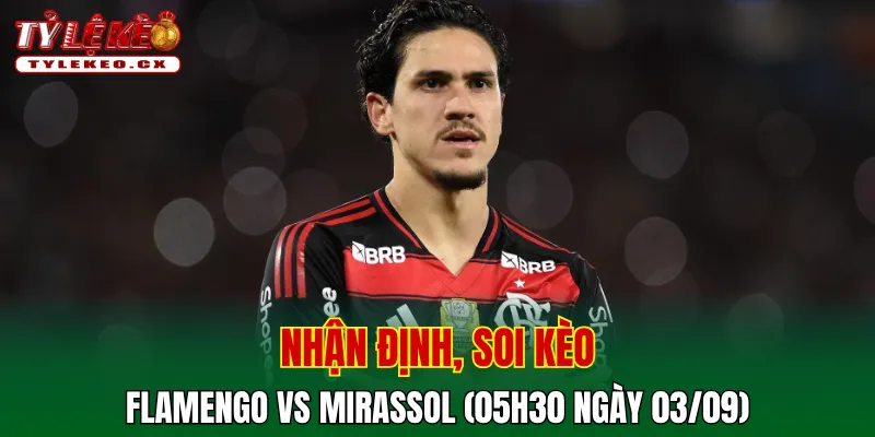 Soi kèo cuộc so tài Flamengo vs Mirassol