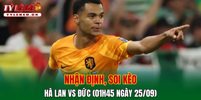 Soi Kèo Hà Lan vs Đức (01h45 ngày 25/09) UEFA Nations League 2 Soi kèo cuộc so tài Hà Lan vs Đức